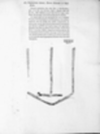Chaetomium elatum image